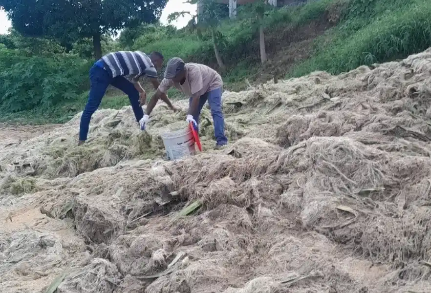 mapepa karatasi uses sisal waste to manufacture paper