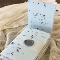 sisal cards